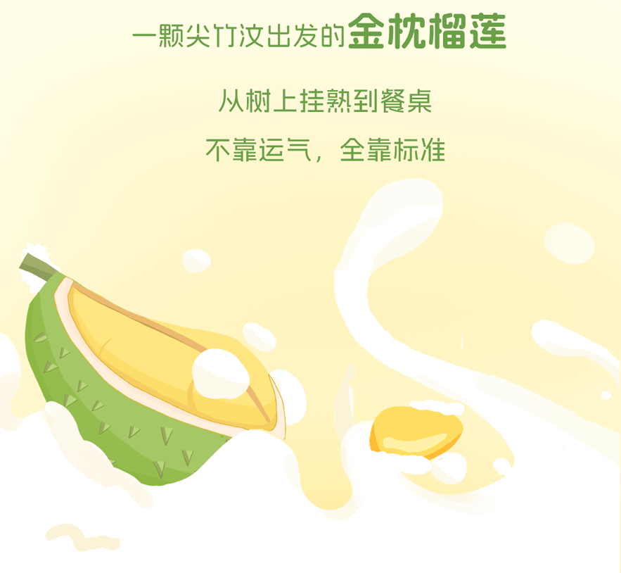 华佑1号榴莲长图_03.png