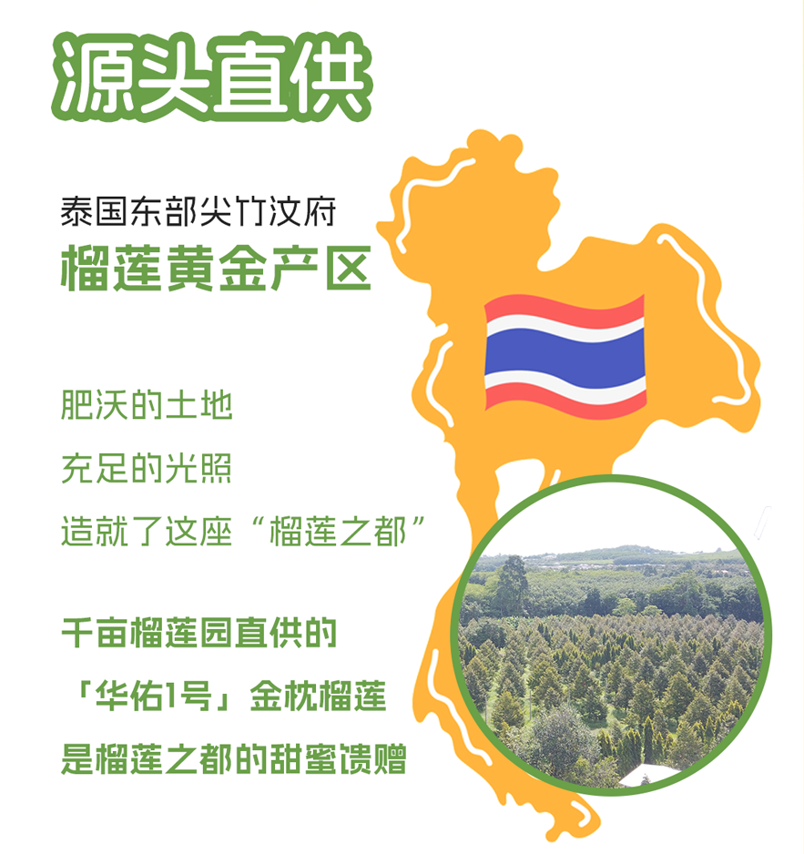 华佑1号榴莲长图_04.png