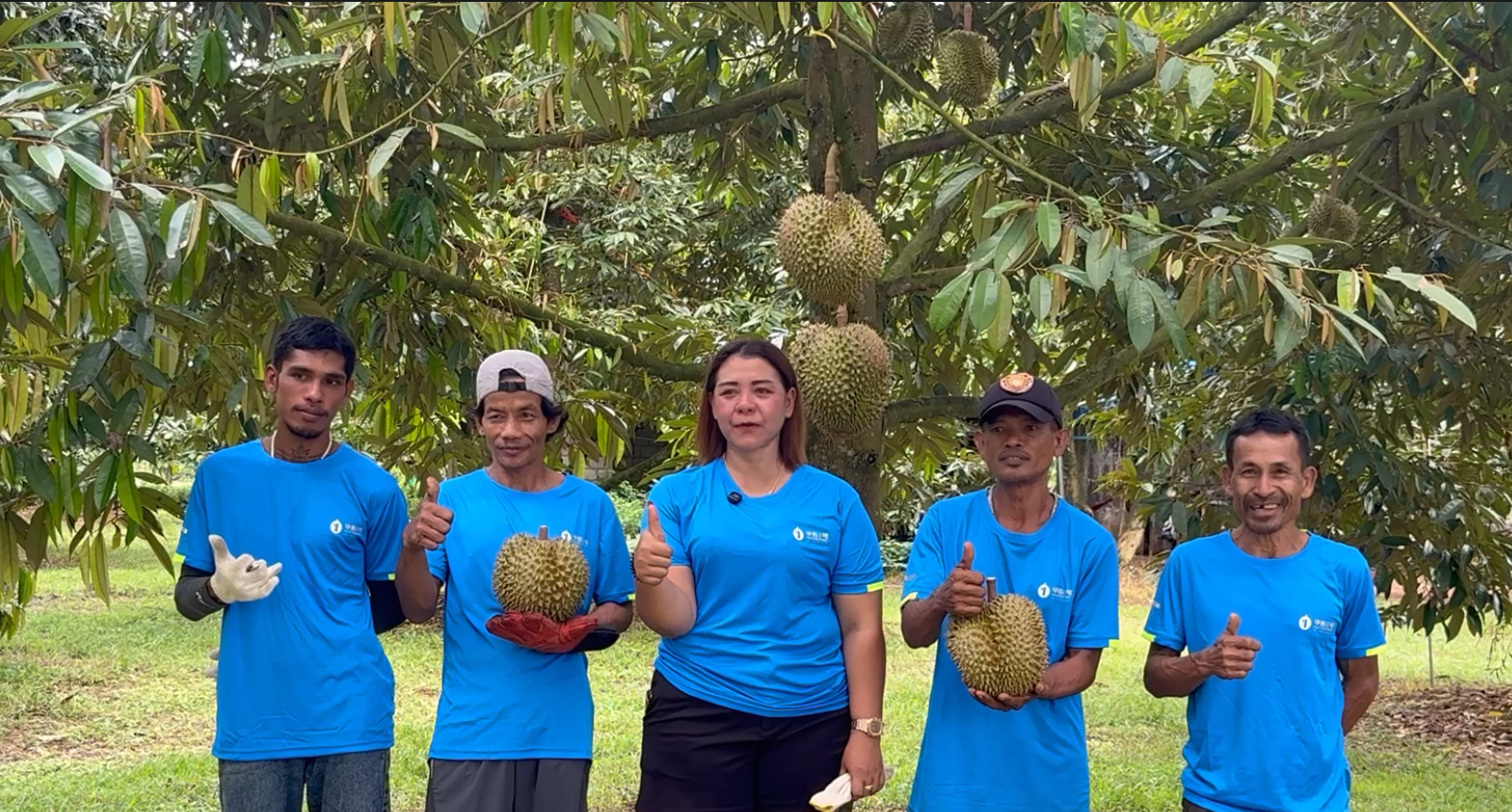 华佑榴莲.png